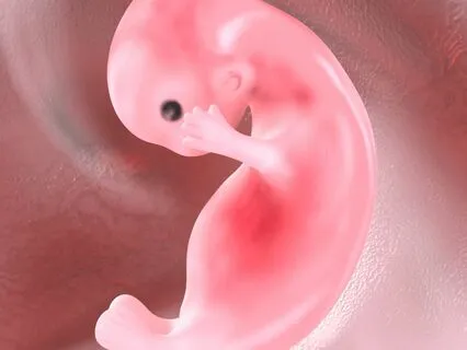 First Trimester Meditation - Relax & Enjoy Early Pregnancy