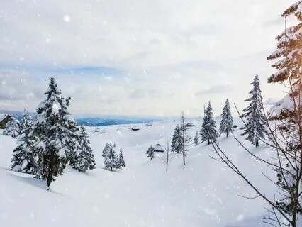 First Winter Snowfall |let It Snow, Let It Snow, Let It Snow