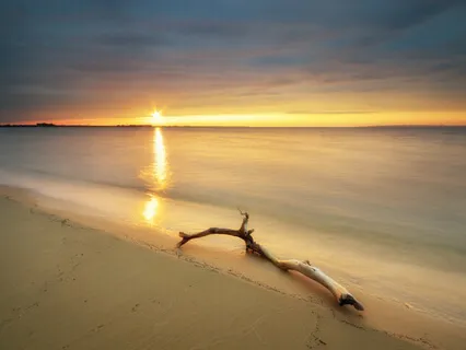 Fith Isochronic Drones