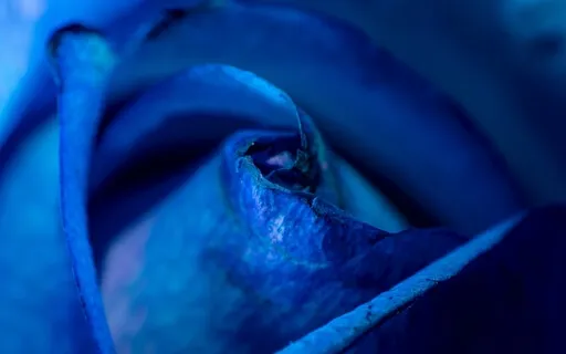 Five Common Blocks In The Third Eye Chakra Of Your Biz