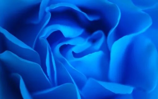 Five Common Blocks In The Throat Chakra Of Your Biz