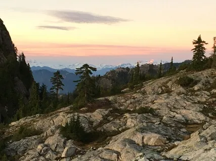 Five Different Points Of Attention, Supporting Awareness 