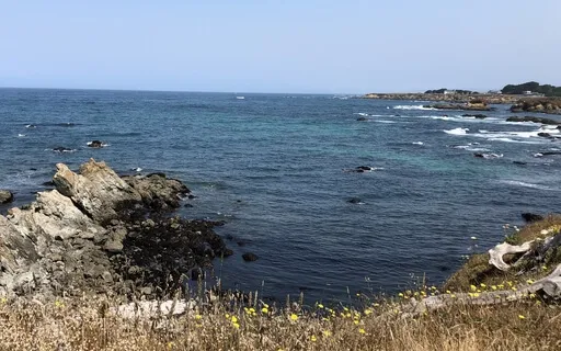 Five Element Guided Healing Meditation