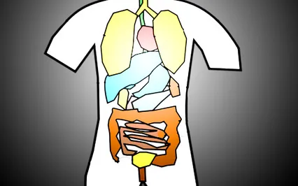 Five Element Practice