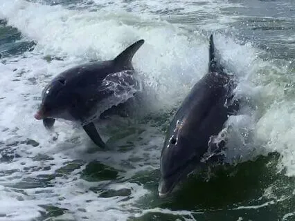 Five Keys To Healthy Relationships