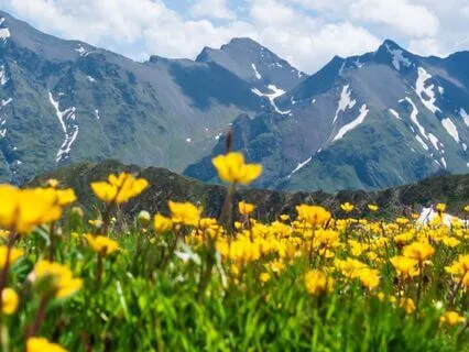 Five Mind Habits To Declutter Your Life