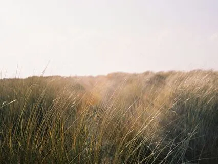 Five Mindful Breaths