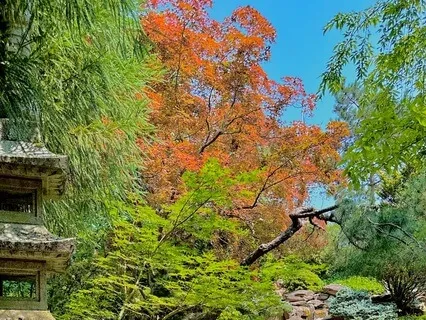 Five-Minute Affirmations For Self-Confidence And Awareness