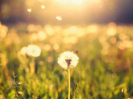 Five Minute Breath Work Session To Calm The Mind