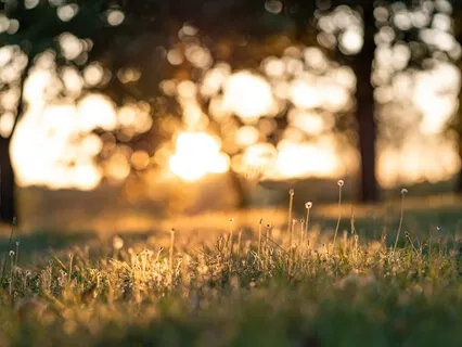 Five Minute Family Meditation 