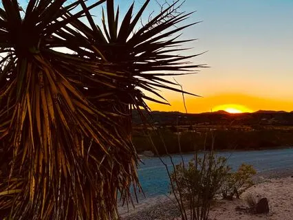 Five Minute Flow Journaling: Considering Joy