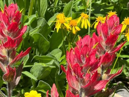 Five Minute Flow Journaling: Deep In My Heart