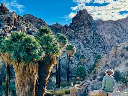 Five Minute Flow Journaling: I Admire