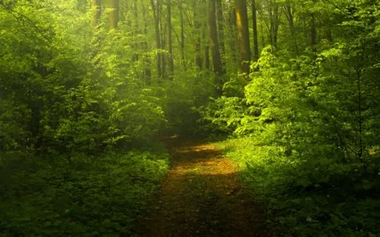 Five-Minute Guided Meditation For Mental Reset