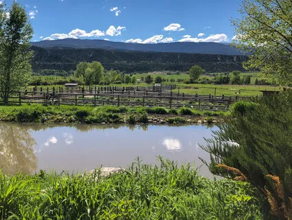 Five Minute Meditation