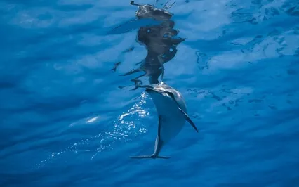 Five-Minute Meditation