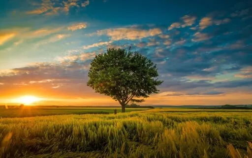 Five-Minute Meditation - Deadlines