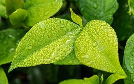 Five-Minute Meditation - Positivity