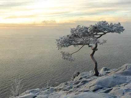 Five Minute Meds - Exploring The Slippery Nature Of Self 