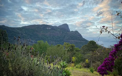 Five Minute Mindful Breathing