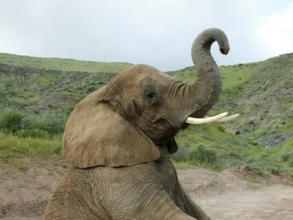 Five Minute Mindful Reset