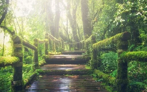 Five-Minute Mindfulness Meditation