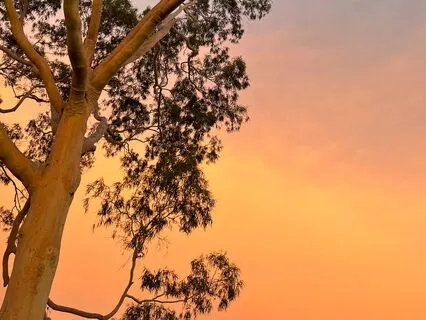 5-Minute Morning Intention Setting Practice