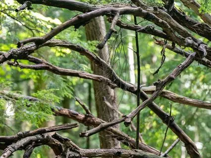 Five-Minute Pause In Your Day