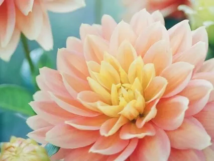 Five Minute Reboot For Beginners