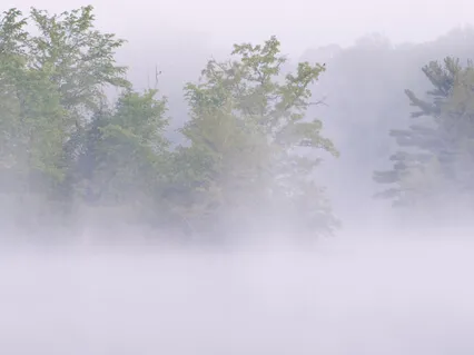 Five Minute Reset Meditation