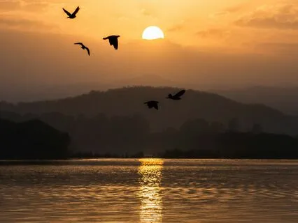 Five Minute Stress Release With Body And Breath