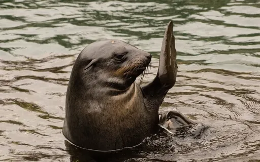 Five Minute Warm Welcome