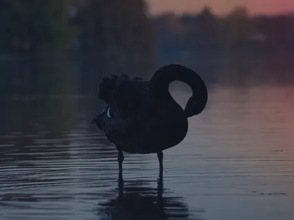 Five Minutes For Rest & Sleep