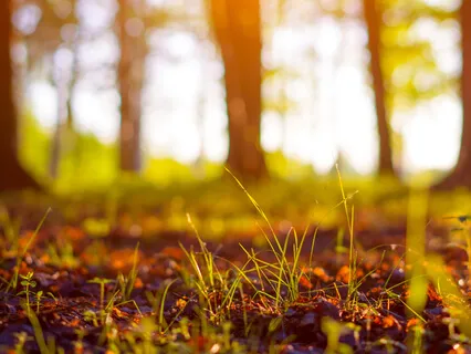 Five Minutes Of Freedom-Breath