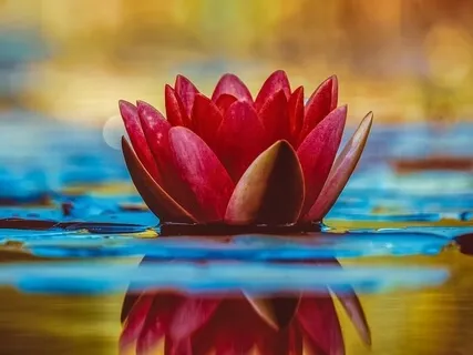 Five Minutes Of Relaxation & Positivity