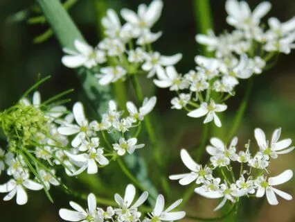 Five Minutes To Calm And Clarity