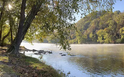 Five Minutes To Center, Ground & Breathe...