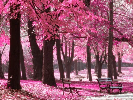 Five Minutes To Comfort And Calm