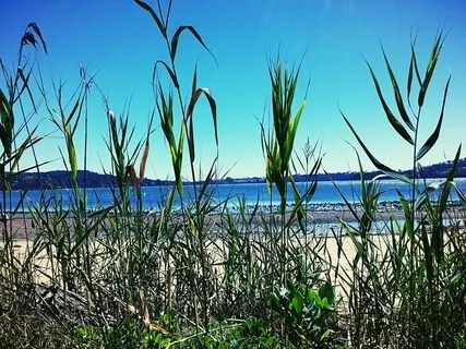 Five Minutes To Fabulous