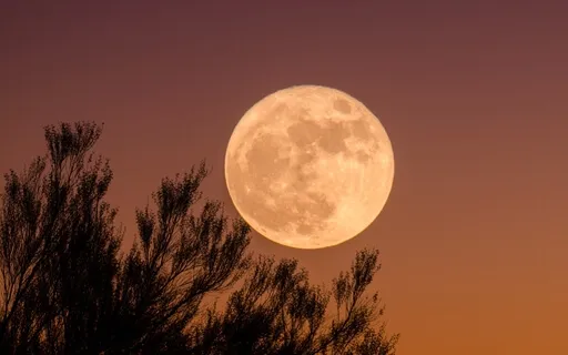 Five Minutes To Fall Asleep