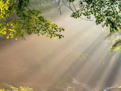 Five Minutes To Presence - A Moment To Be