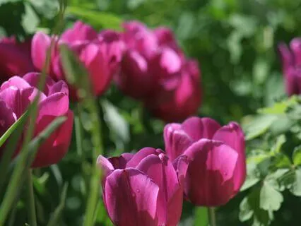 Five Minutes To Release Anger