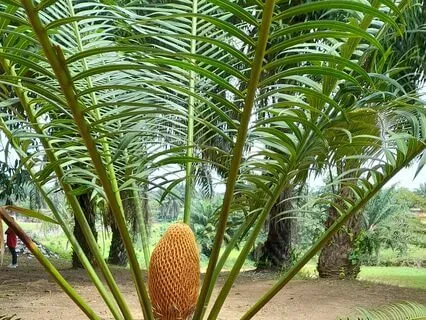 Five Senses Awareness Exercise For Calmness And Empathy