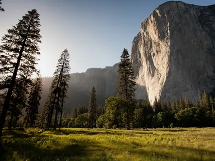 Five Senses Body Scan