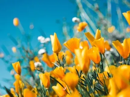 Five Senses Meditation For Practicing Mindfulness & Being Present