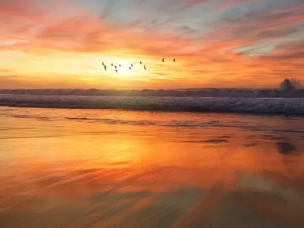 Five-Sensory "Visualization" Journey