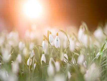 Five Steps: A Musical Journey In Practical Prayer