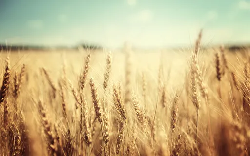 Five To Focus & Relax