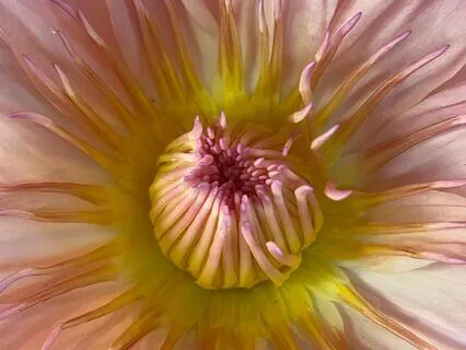 Five Twenty Eight Meditate