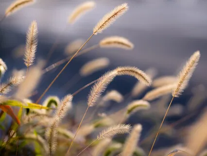 Fixing Chakra Blockages And Imbalances